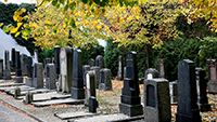 Führung auf jüdischem Friedhof - Rainer Wollenschneider berichtet über Biografien hinter den Grabinschriften wie Marx, Wertheimer und Mayer
