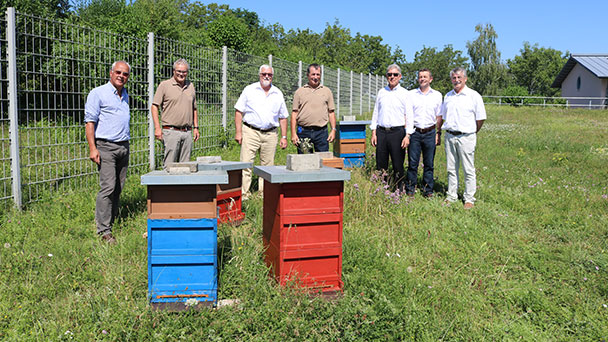 Freiburger Energieversorger investiert in Bienenvölker - Sponsoring- und Partnerprojekt mit heimischen Imkern