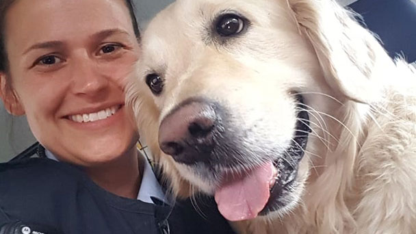 Viel Aufregung um unternehmungslustigen Hund – Retriever Karlson auf eigene Faust in der Eisenbahn unterwegs