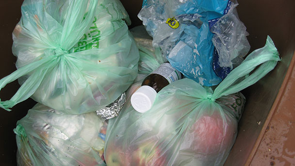 Keine Disziplin in Bühl – Plastiktüten in jeder fünften Biotonne
