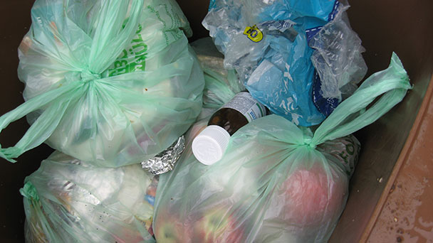 Keine Disziplin in Bühl – Plastiktüten in jeder fünften Biotonne Keine Disziplin in Bühl – Plastiktüten in jeder fünften Biotonne