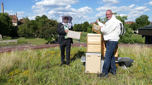 OB Pütsch freut sich über „Barockes Gold“ – Erster Rastatter Stadthonig geerntet