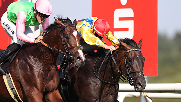 Start mit 10 Pferden in die Große Woche – Hickst-Großangriff auf 65. Preis der Sparkassen Finanzgruppe