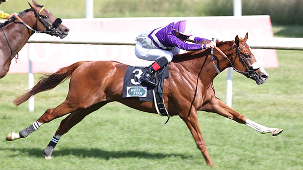 Sensation im Großen Preis der Badischen Wirtschaft in Baden-Baden – Paris-Held Torquator Tasso verliert gegen Alter Adler Sensation im Großen Preis der Badischen Wirtschaft in Baden-Baden – Paris-Held Torquator Tasso verliert gegen Alter Adler