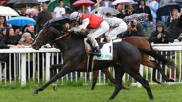Zuschauer und Pferde ließen sich vom Regen nicht beeindrucken – Über 7.000 Besucher am Samstag in Iffezheim – Heute großes Finale – Livestream hier