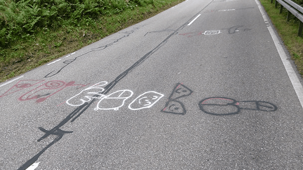 Fünfstellige Kosten für Säuberung an der Schwarzwaldhochstraße – Spezialfirma im Einsatz