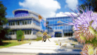 Ein großer Tag für ein kleines Tier – Badenova schenkt den Bienen Lebensraum