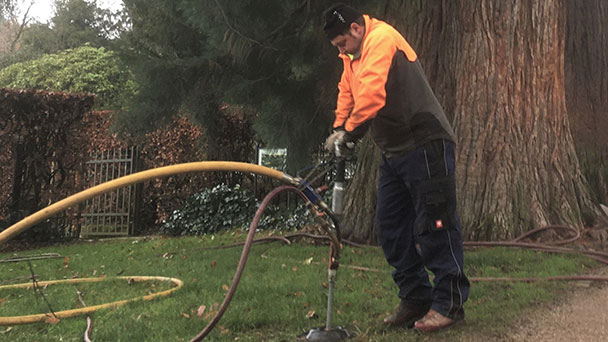 Stärkung für Baden-Badener Bäume in Grünanlagen 