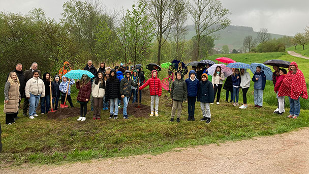 Schüler pflanzen Moor-Birke in Steinbach – Seit 1989 pflanzt auch das Baden-Badener Gartenamt den „Baum des Jahres“ 