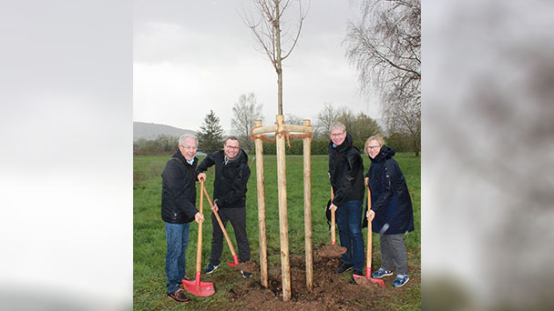 Baden-Badener Alt-Bürgermeister Kurt Liebenstein greift zur Schaufel – Baumpflanzaktion der SPD-Ortsvereinigung Sandweier 