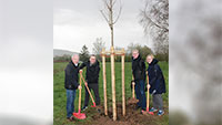 Baden-Badener Alt-Bürgermeister Kurt Liebenstein greift zur Schaufel – Baumpflanzaktion der SPD-Ortsvereinigung Sandweier 