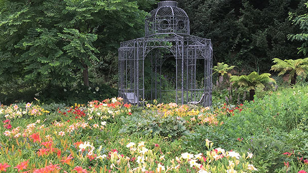„Baden-Badens blühende Beete“ bei Markus Brunsing in guten Händen – Nächste Woche botanische Führung 
