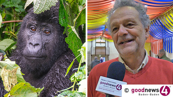 Baden-Badener Stadtrat und die Berggorillas – Kostenlose PR aus Rathaus und Stadtbibliothek 