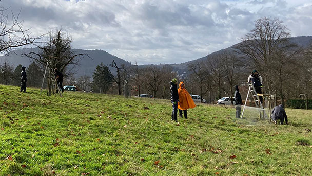 Freiwillige aus ganz Deutschland in Baden-Baden – Beim „Bergwaldprojekt“ im Einsatz