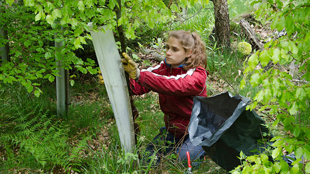 Bergwaldprojekt in Baden-Baden – Freiwillige im Einsatz in den Wäldern