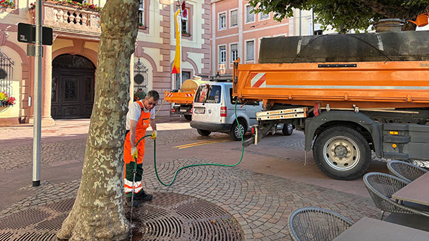 Hilferuf aus Rastatter Rathaus – „Jeder Tropfen zählt“ – Bevölkerung soll bei der Bewässerung von Bäumen und Grünflächen unterstützen 