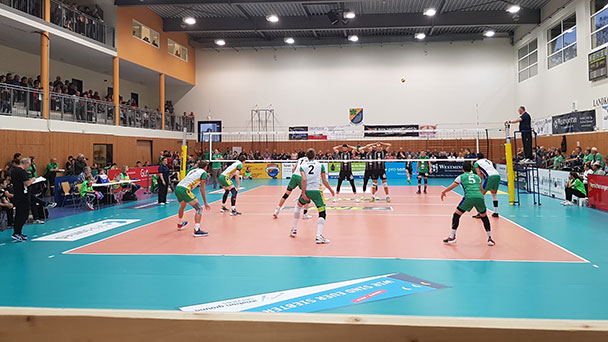 Pokal-Aus für Bundesligisten - Bisons verlieren 0:3 gegen Netzhoppers