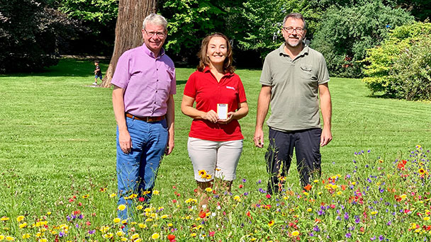 Lichtentaler Allee in Baden-Baden wird noch schöner – „Ringelblume, Kornblume, Roter Lein, Klatschmohn, Kalifornischer Mohn, Mandelröschen und Mädchenauge“