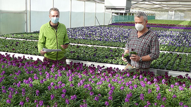 Flower Power in Baden-Baden – Frühjahrsbepflanzung wird vorbereitet