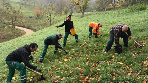 Vorbereitungen für den Frühling – Stadtgärtner pflanzen Blumenzwiebeln 