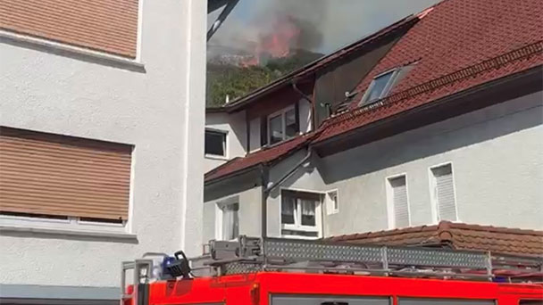Polizei ermittelt wegen Reben-Brand in Neuweier – Brand fahrlässig oder mutwillig herbeigeführt – Polizei sucht Zeugen Polizei ermittelt wegen Reben-Brand in Neuweier – Brand fahrlässig oder mutwillig herbeigeführt – Polizei sucht Zeugen