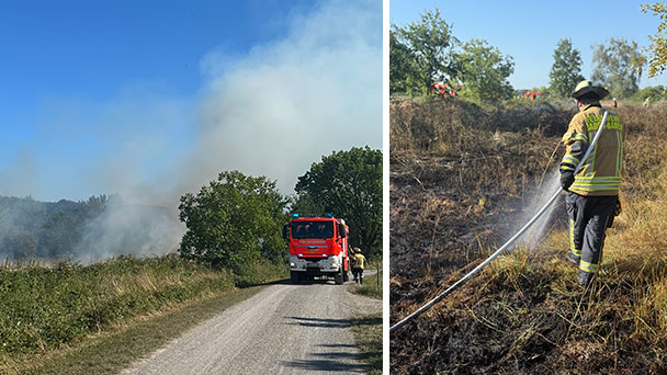 Flächenbrand in Steinbach – „Aus Sinzheim Rauchentwicklung über Industriegebiet Steinbach sichtbar“