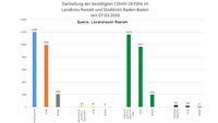 Landratsamt Rastatt ändert Meldekriterien – Nur noch positive PCR-Tests werden gezählt – Aktuelle Corona-Statistik Baden-Baden und weltweit