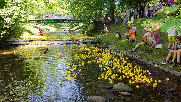 2.150 gelbe Plastik-Enten waren in Baden-Baden am Start - 10.000 Euro zur Förderung von Kindern