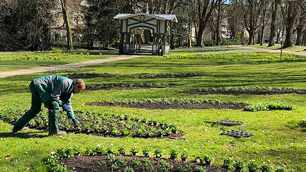 Das schöne Baden-Baden wird verzaubert – Unter der Grasnarbe machen sich die Boten des Frühlings bereit Das schöne Baden-Baden wird verzaubert – Unter der Grasnarbe machen sich die Boten des Frühlings bereit
