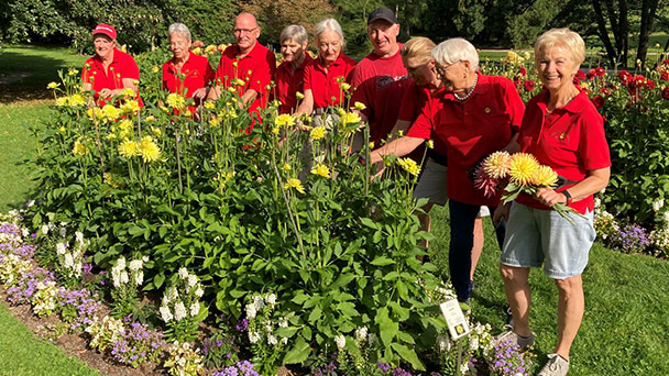 Stadt Baden-Baden sucht Blumenkinder – Dahlienpracht in Lichtentaler Allee
