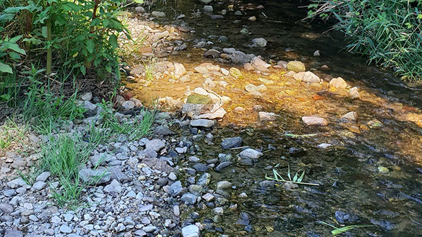 Drastische Maßnahmen der Ortenau – Wasserentnahme aus Bächen und Flüssen verboten