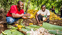 Bühl blickt auf Afrika – Fairtrade-Vortrag mit Christina Alff zur Kakao-Produktion 