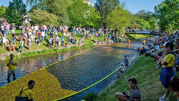 Baden-Badener Enten schwammen um die Wette – 20.000 Euro Spendenerlös  