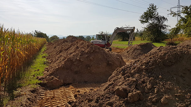 Rastatter Stadtverwaltung mit illegaler Müllentsorgung beschäftigt – Ein Verursacher geschnappt Rastatter Stadtverwaltung mit illegaler Müllentsorgung beschäftigt – Ein Verursacher geschnappt