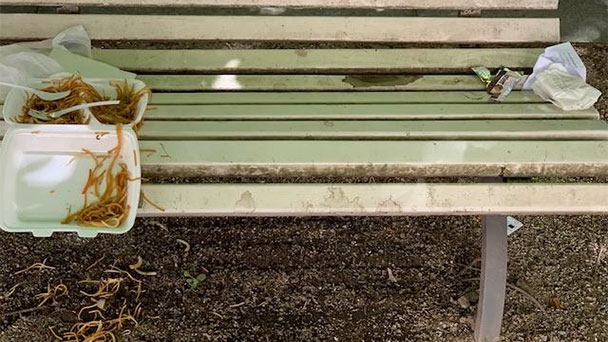 FBB-Stadtrat Martin Ernst mit Brandbrief an Baden-Badener OB Dietmar Späth – „Vom trostlosen Zustand der Sophienstraße“ – „Über enormen Leerstand“