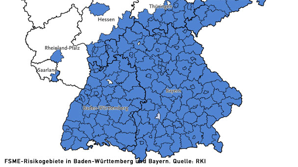 Es wird wärmer und die Zecken sind zurück – Auch Baden-Baden Risikogebiet – Erste FSME-Erkrankungen in Baden-Württemberg