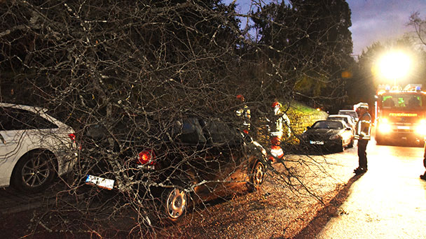 Feuerwehr heute Morgen in Baden-Badener Schloßstraße – Baum kracht auf drei Autos – Böen bis heute Abend 