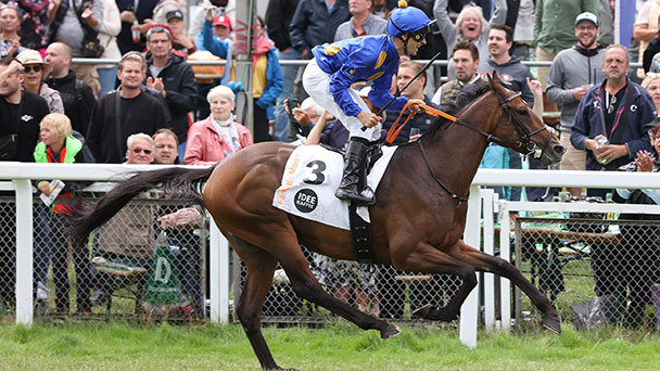 Großes Finale morgen in Iffezheim – Star-Galopper im Großen Preis von Baden – 400.000 Euro Preisgeld Großes Finale morgen in Iffezheim – Star-Galopper im Großen Preis von Baden – 400.000 Euro Preisgeld