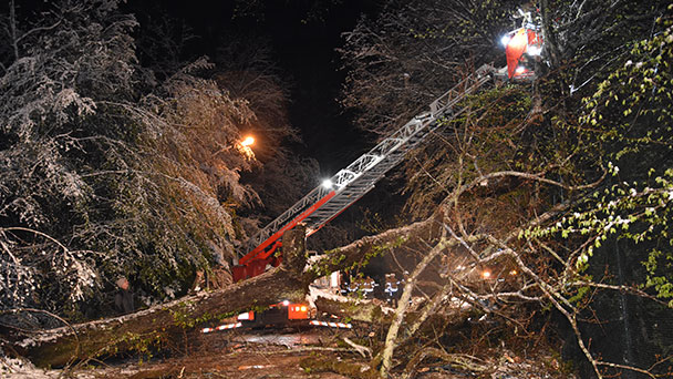 Nächtliches Schnee-Chaos in Baden-Baden – Feuerwehr räumte umgestürzte Bäume und Äste von den Straßen – Mehrere Vollsperrungen