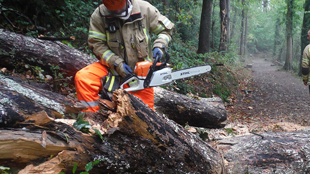 Feuerwehr am Battert – Baumsturz an Fußweg 