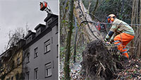 Umgestürzte Bäume in Baden-Baden und Sinzheim – Sturmtief Luis war aber gnädig