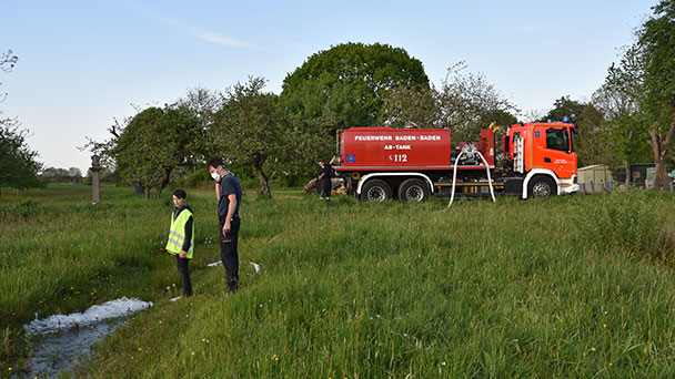 Baden-Badener Feuerwehr mit Herz für Amphibien – 36.000 Liter Wasser für ausgetrocknete Gewann Kreuzacker 