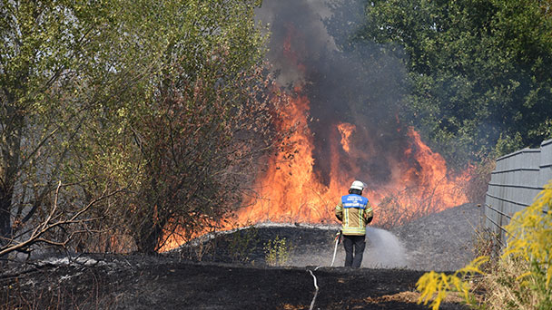Feuer bei Baden-Badener Flüchtlingsunterkunft – 29 Bewohner vorübergehend evakuiert 