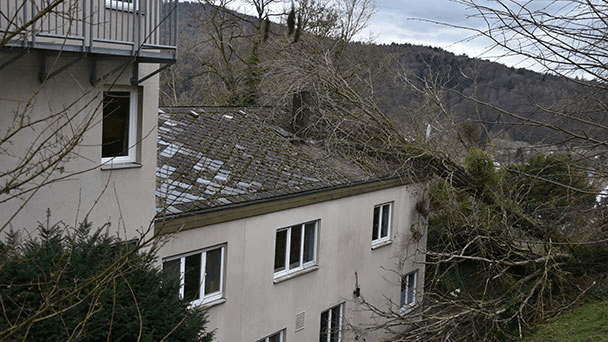 Baum kracht auf Baden-Badener Jugendherberge – Feuerwehr mit Kettensägen im Einsatz