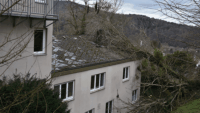 Baum kracht auf Baden-Badener Jugendherberge – Feuerwehr mit Kettensägen im Einsatz