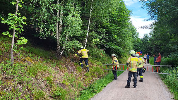 Absturz am Merkur verlief glimpflich – Von Feuerwehr aus Baumwipfel gerettet 