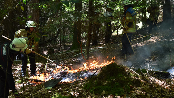 Baden-Badener Feuerwehr verhinderte großen Waldbrand an der Bußackerhütte – Nach dreistündigem Einsatz Feuer gelöscht