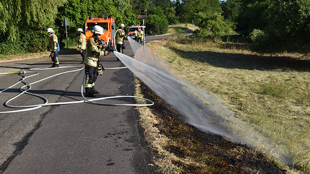 Folge der Trockenheit in Baden-Baden – Flächenbrand am Herrenpfädel