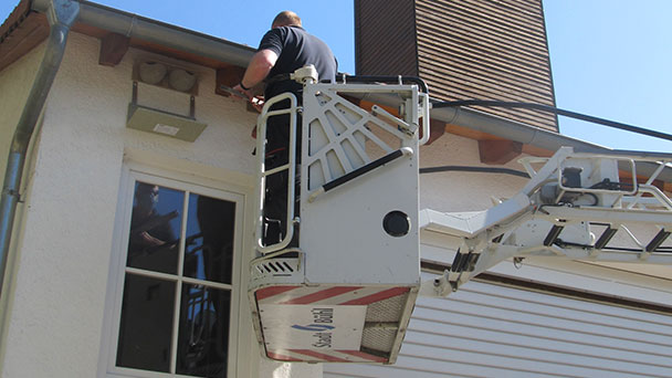 Fledermäuse und Schwalben arbeiten für die Stadt Bühl – Betätigen sich als Gesundheitspolizei