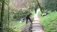 Wunderschöner Florentinerberg – Sanierung der Treppen und Wege 